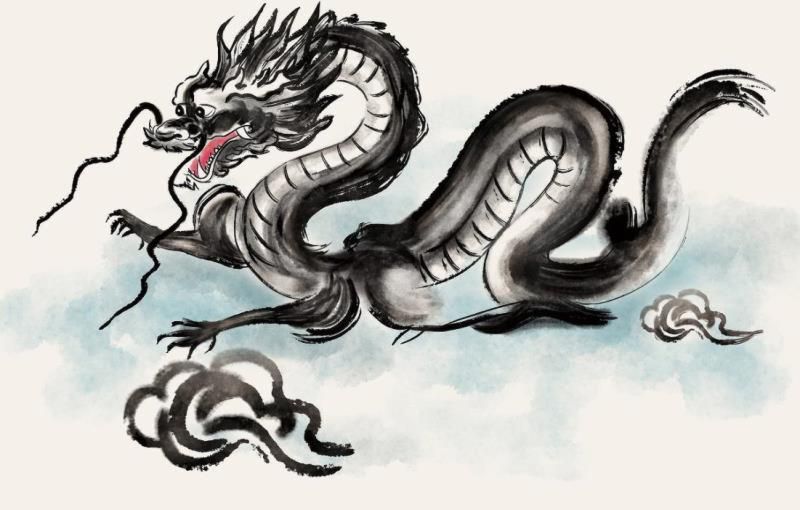 虎和龙相克吗?家有龙虎是不是旺 虎和龙相克吗?家有龙虎是不是旺