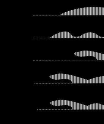 尼斯湖水怪的真相