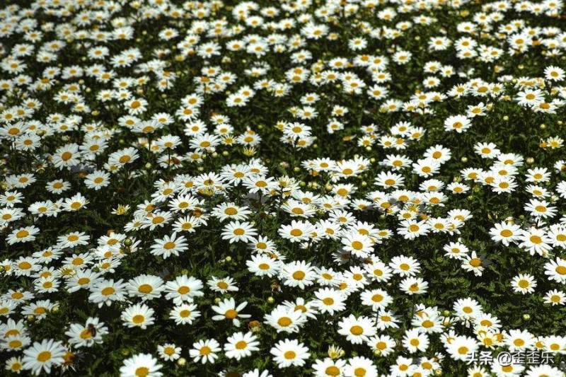 有富婆命的4个星座女，家庭关系温馨和睦，生活状态安逸美好