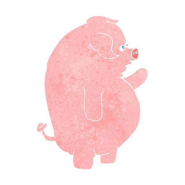 属猪人财源滚滚