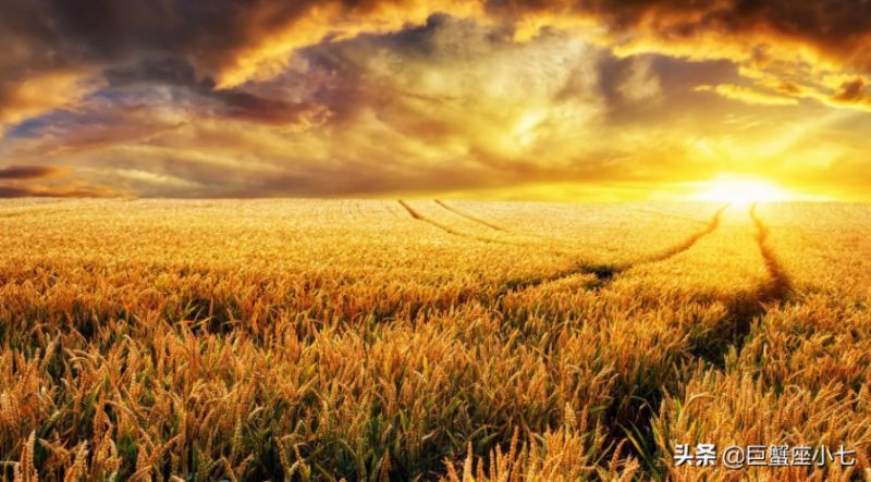 外表温暖，内心冰冷的星座，有时候被爱情所困，却始终清醒