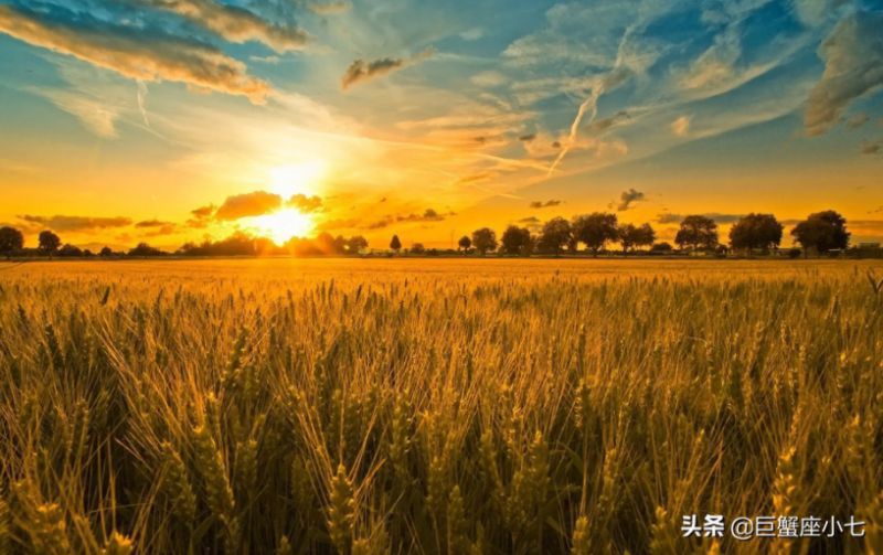 外表温暖，内心冰冷的星座，有时候被爱情所困，却始终清醒