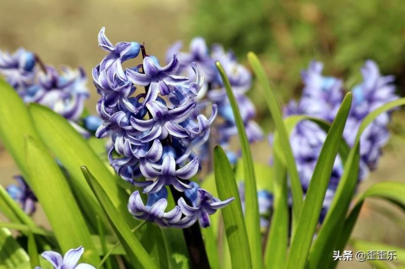 2022年摩羯座运势大爆发，事业进展稳步有序，拓展更大的进步空间