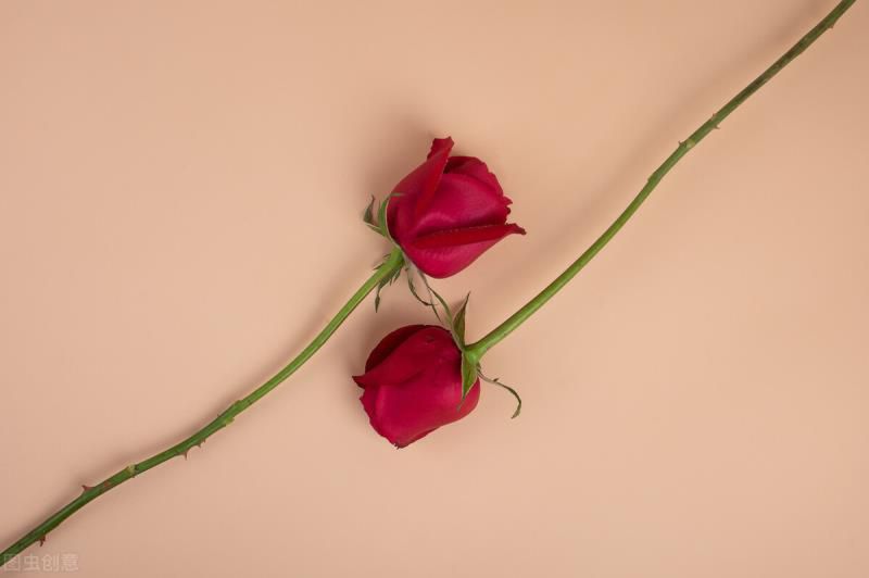 一辈子都会纠缠在一起的星座，很难抗拒致命的吸引力