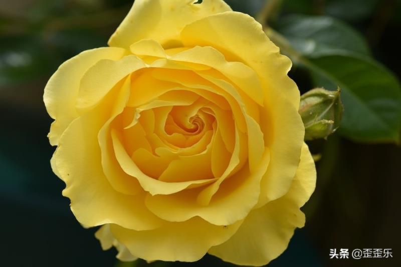 2022年摩羯座运势大爆发，事业进展稳步有序，拓展更大的进步空间