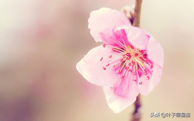 这三个星座，会把水瓶座当宝，哪怕被拒绝，也会勇敢追