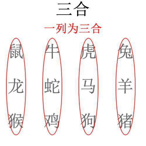 最全12生肖三合、六合、相冲、相害详细讲解！（上）