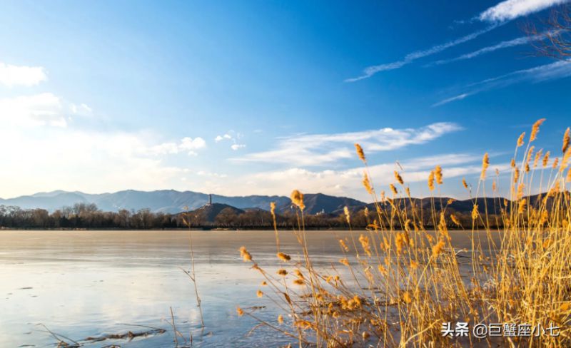 外表温暖，内心冰冷的星座，有时候被爱情所困，却始终清醒