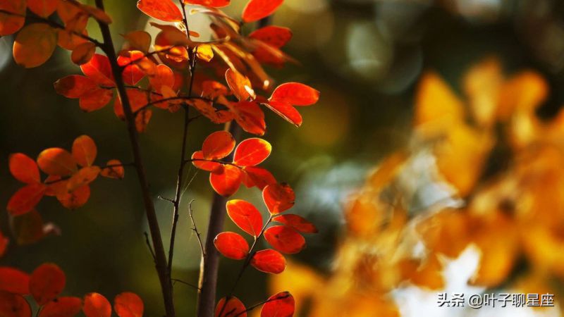 这三个星座，会把水瓶座当宝，哪怕被拒绝，也会勇敢追