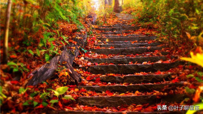 这三个星座，会把水瓶座当宝，哪怕被拒绝，也会勇敢追