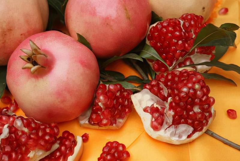 七种吉祥树，有的花美，有的爱结果，房前屋后种一棵，实用又旺家