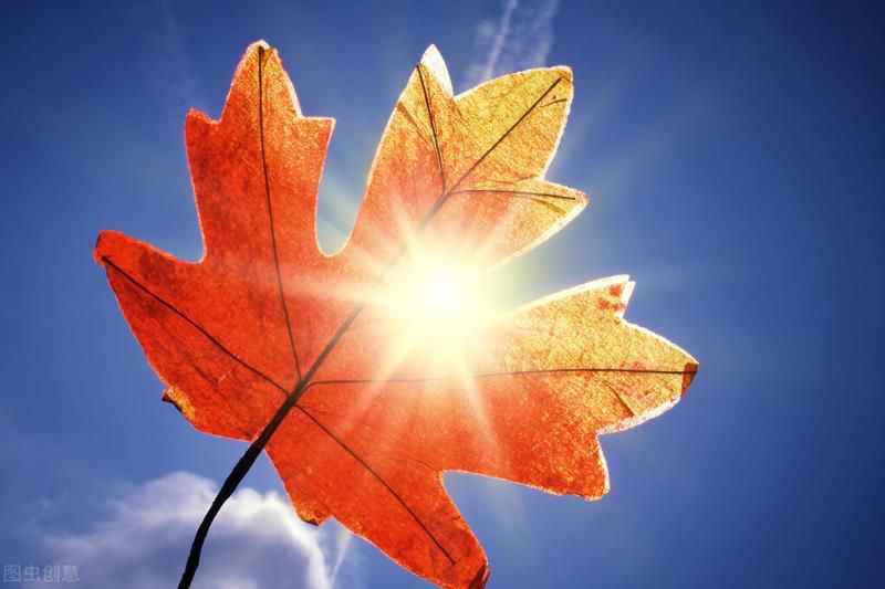 十二星座什么年龄最美？