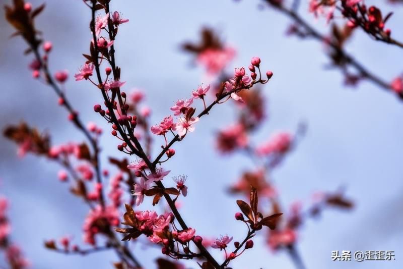 有富婆命的4个星座女，家庭关系温馨和睦，生活状态安逸美好