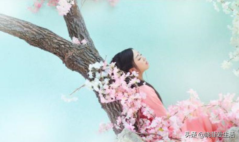 为什么过年要养桃花？宏图大展、福运临门，粉嫩无暇、旺财又养人