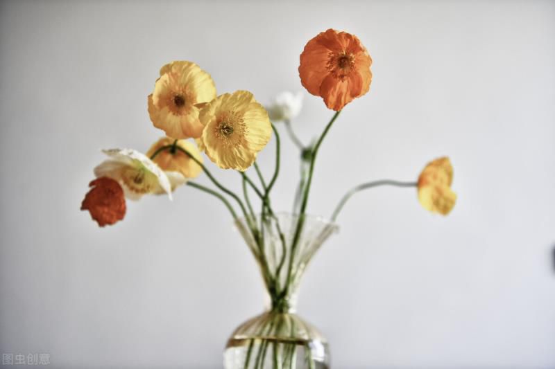 一辈子都会纠缠在一起的星座，很难抗拒致命的吸引力