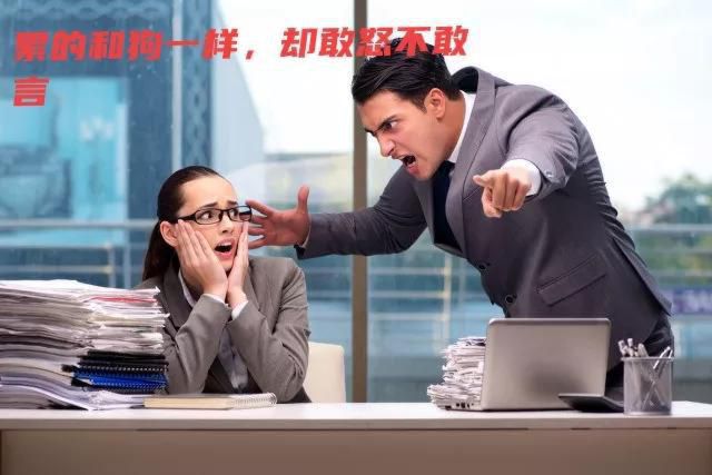 网络上社畜是什么意思网络语言，今天也是社畜的一天什么意思