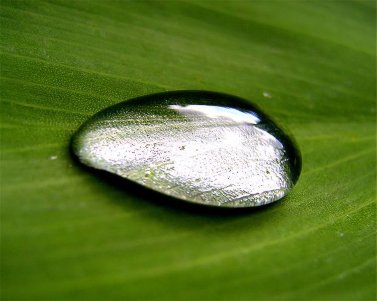 帮媳妇不帮妈的星座男，婆婆最怕的媳妇星座