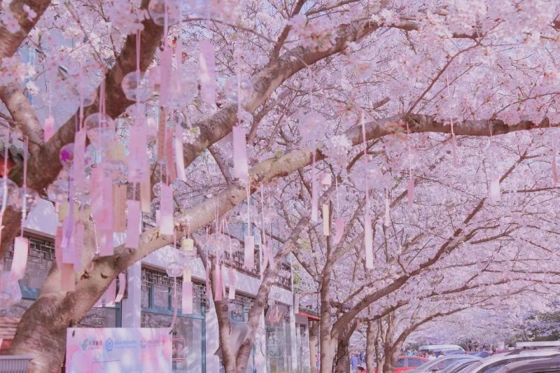 天秤座运势2022年每月运势完整版详解，2022年天秤座百年难遇