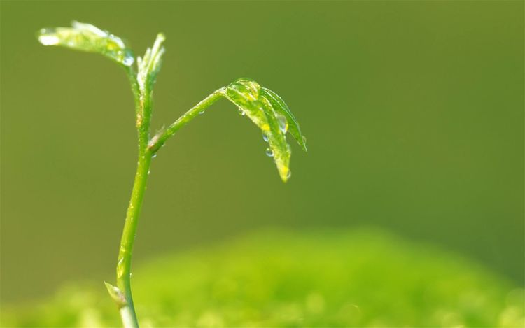 帮媳妇不帮妈的星座男，婆婆最怕的媳妇星座