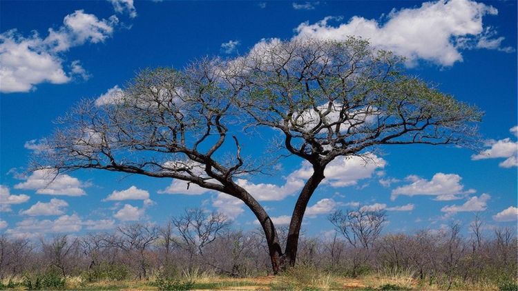 帮媳妇不帮妈的星座男，婆婆最怕的媳妇星座