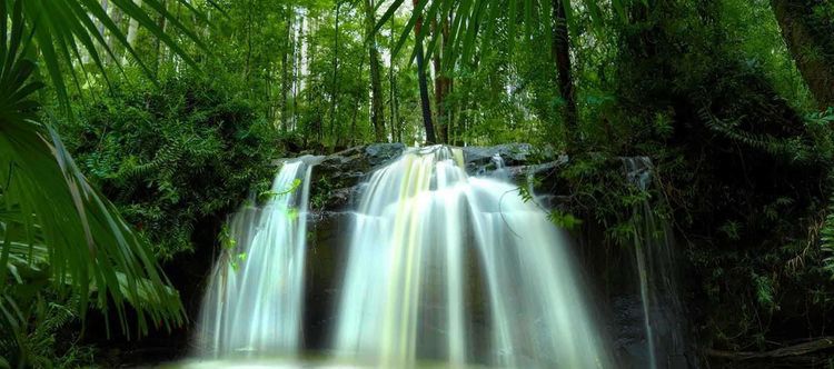 帮媳妇不帮妈的星座男，婆婆最怕的媳妇星座