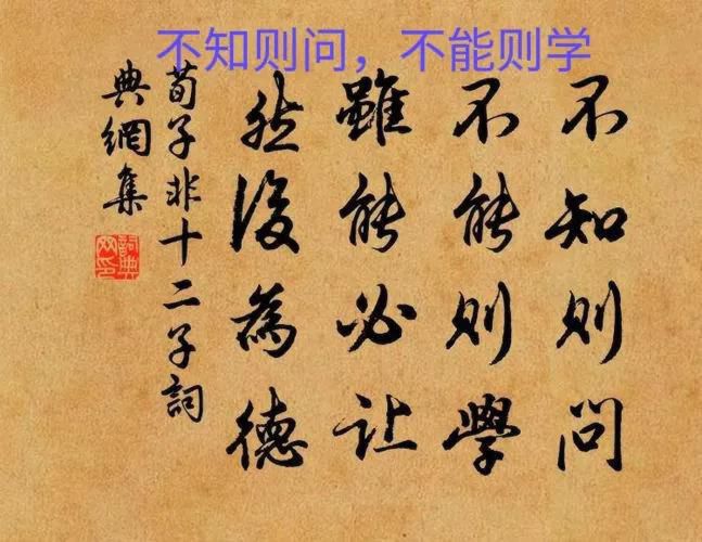 不能则学是什么意思，不知则问不能则学意思