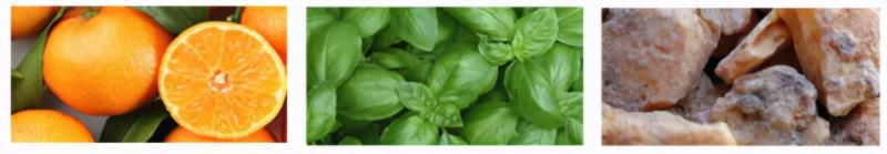 祖马龙香水味道排名女士，祖马龙香水味道介绍