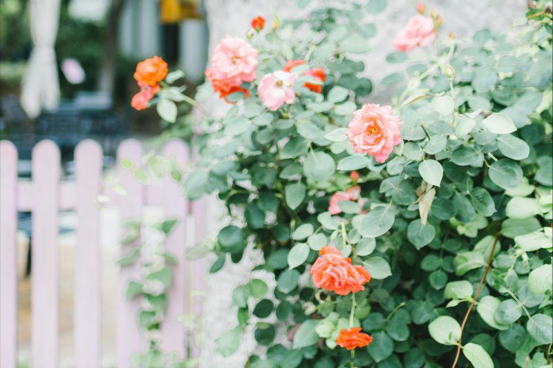 天秤座运势2022年每月运势完整版详解，2022年天秤座百年难遇