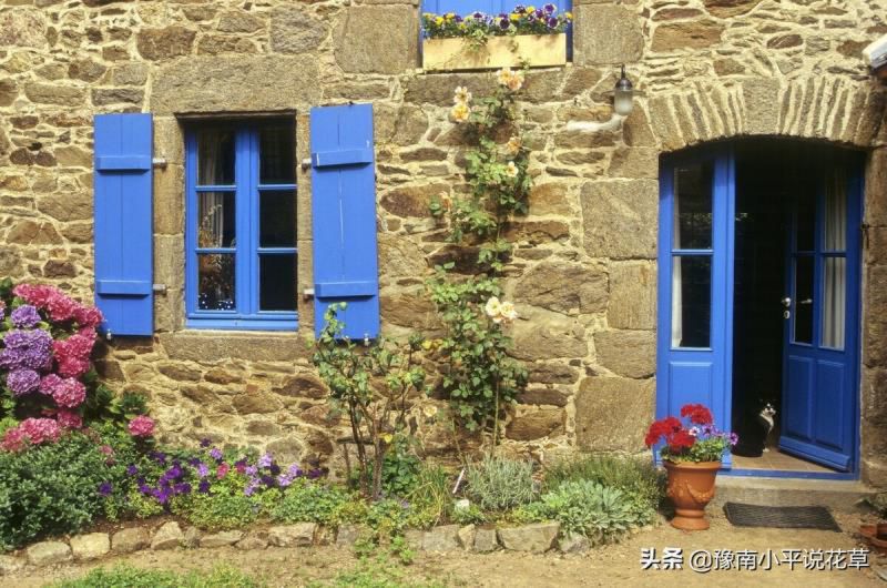 门口种什么植物对家庭好风水，家门口种什么树最吉祥