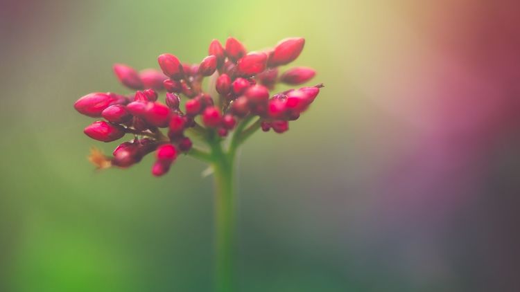 帮媳妇不帮妈的星座男，婆婆最怕的媳妇星座