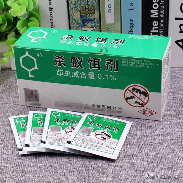 家里有蚂蚁怎么能彻底消灭生活小妙招，家里出现小蚂蚁的原因