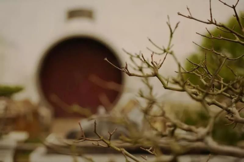 住进不好的房子出现这十大征兆千万别住有什么预兆，人压不住宅的表现