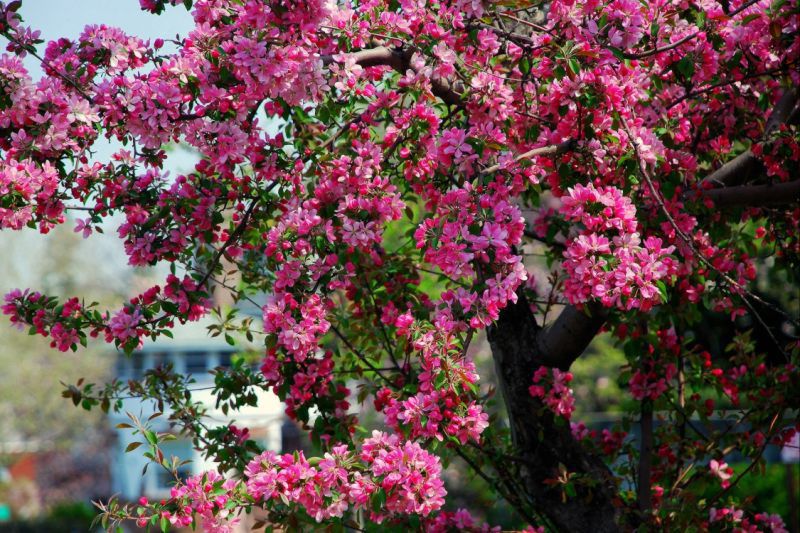 天秤座运势2022年每月运势完整版详解，2022年天秤座百年难遇