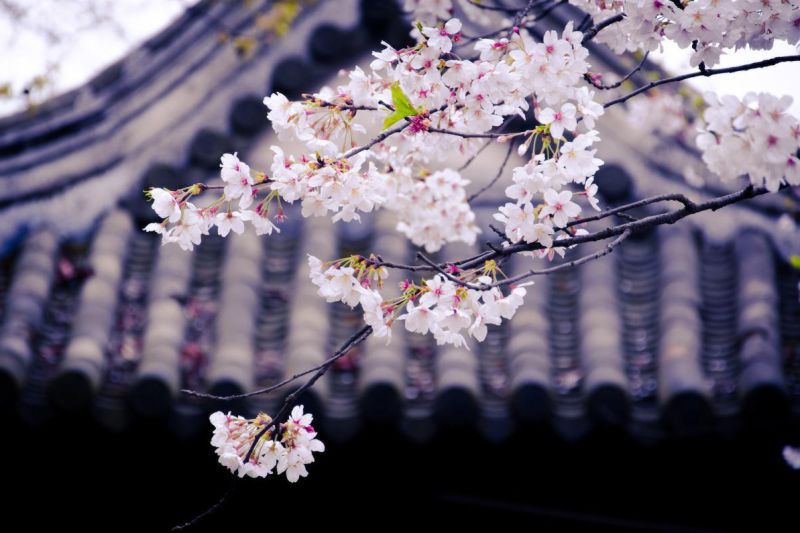 天秤座运势2022年每月运势完整版详解，2022年天秤座百年难遇