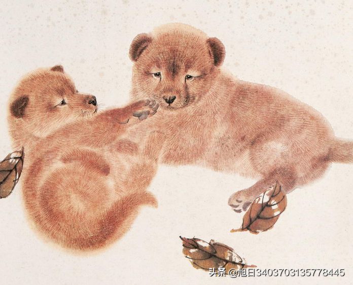 什么属相能镇住属虎的人，属虎的最怕的三个生肖