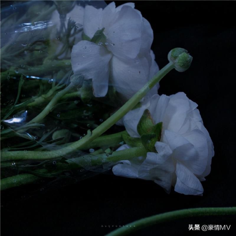 女朋友备注个性什么有创意，女朋友独一无二的昵称