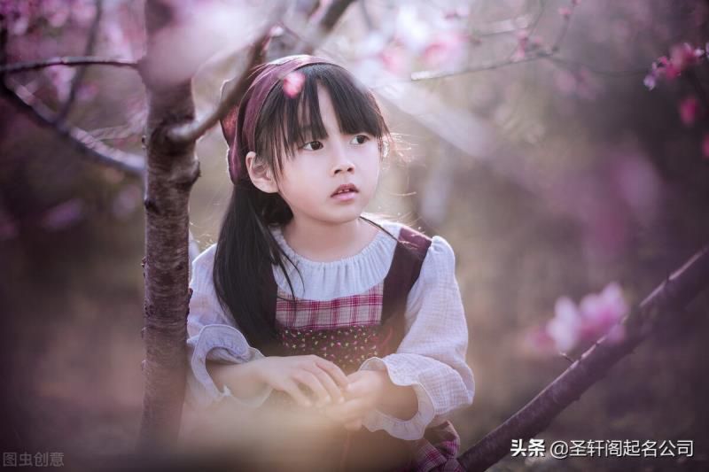 明年虎宝宝女孩名字大全2022款，女孩名字大全2022属虎免费