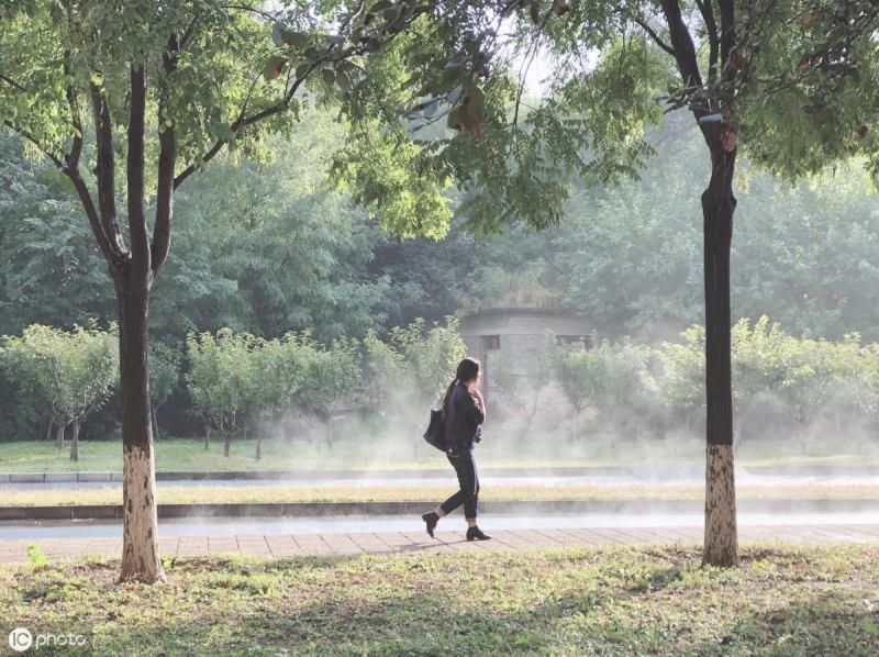 过去农村“打井”，如何判断地下“水脉”情况？