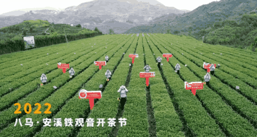 中国的5大乌龙茶是哪些？谁才是乌龙茶中的“王者”？建议了解