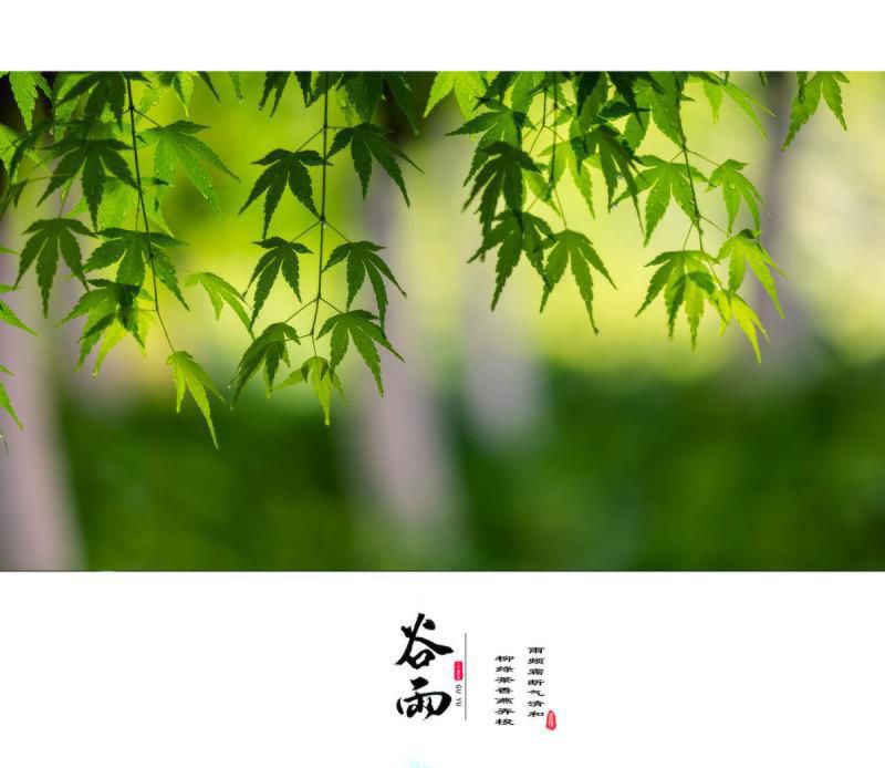 在金牛月中，从不同的出生时间，看你是什么性格的金牛座