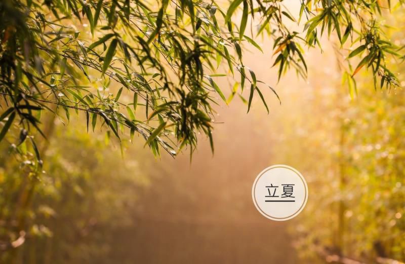 在金牛月中，从不同的出生时间，看你是什么性格的金牛座