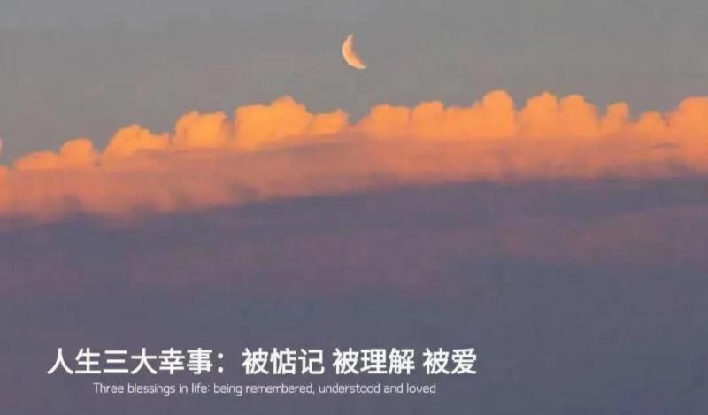 “陶白白说”星座文案
