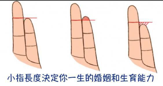 饭勺面相：你会生几个孩子？伸出手看看这条线就知道了