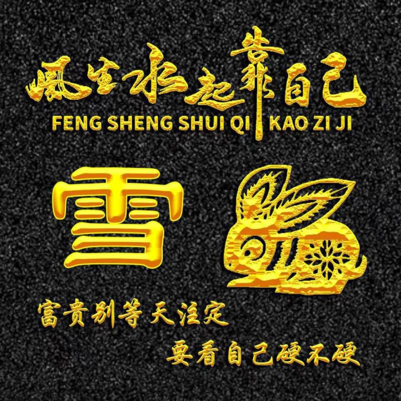 励志题材、烫金字体十二生肖姓氏头像：风生水起靠自己--卯兔篇