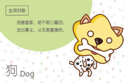 70年属狗人48岁以后命运怎么样 属狗2019年运势