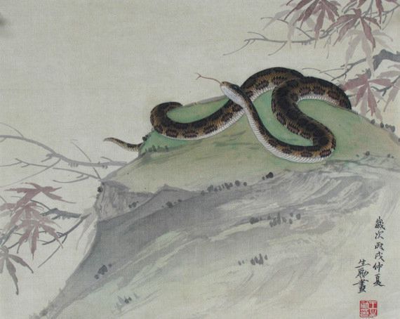 揭秘：12生肖的人双鱼座的性格特点，有点准！