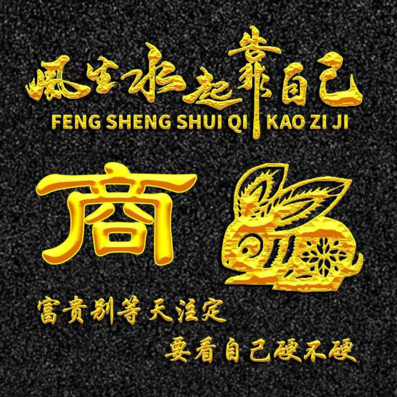 励志题材、烫金字体十二生肖姓氏头像：风生水起靠自己--卯兔篇
