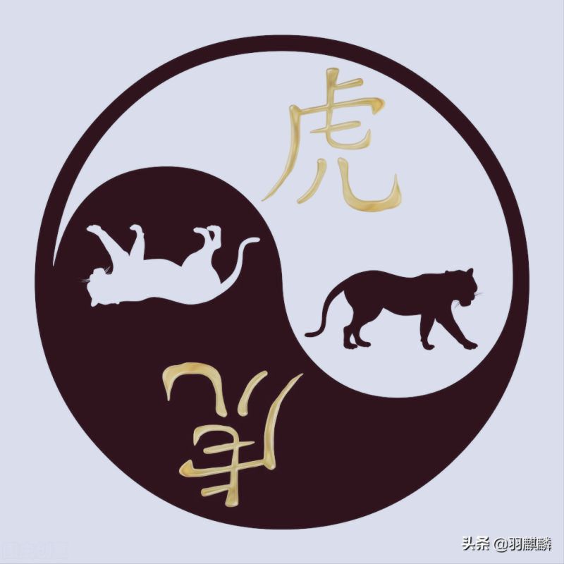 明日四九天没什么特别，可49数字中却是大有玄机和讲究