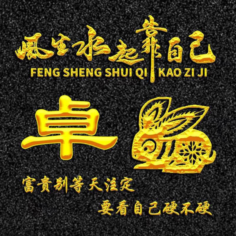 励志题材、烫金字体十二生肖姓氏头像：风生水起靠自己--卯兔篇