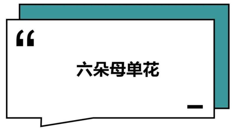 这届年轻人：干啥啥不行，微信群取名第一名